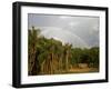 Amazon, Rio Tapajos, A Tributary of Rio Tapajos Which Is Itself a Tributary of Amazon, Brazil-Mark Hannaford-Framed Photographic Print