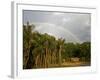 Amazon, Rio Tapajos, A Tributary of Rio Tapajos Which Is Itself a Tributary of Amazon, Brazil-Mark Hannaford-Framed Photographic Print