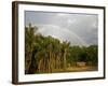 Amazon, Rio Tapajos, A Tributary of Rio Tapajos Which Is Itself a Tributary of Amazon, Brazil-Mark Hannaford-Framed Photographic Print