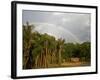 Amazon, Rio Tapajos, A Tributary of Rio Tapajos Which Is Itself a Tributary of Amazon, Brazil-Mark Hannaford-Framed Photographic Print