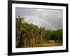 Amazon, Rio Tapajos, A Tributary of Rio Tapajos Which Is Itself a Tributary of Amazon, Brazil-Mark Hannaford-Framed Photographic Print