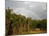 Amazon, Rio Tapajos, A Tributary of Rio Tapajos Which Is Itself a Tributary of Amazon, Brazil-Mark Hannaford-Mounted Photographic Print