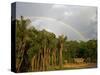 Amazon, Rio Tapajos, A Tributary of Rio Tapajos Which Is Itself a Tributary of Amazon, Brazil-Mark Hannaford-Stretched Canvas