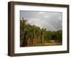 Amazon, Rio Tapajos, A Tributary of Rio Tapajos Which Is Itself a Tributary of Amazon, Brazil-Mark Hannaford-Framed Photographic Print