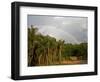 Amazon, Rio Tapajos, A Tributary of Rio Tapajos Which Is Itself a Tributary of Amazon, Brazil-Mark Hannaford-Framed Photographic Print