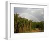 Amazon, Rio Tapajos, A Tributary of Rio Tapajos Which Is Itself a Tributary of Amazon, Brazil-Mark Hannaford-Framed Photographic Print