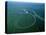 Amazon River, Amazon Jungle, Aerial View, Brazil-Steve Vidler-Stretched Canvas