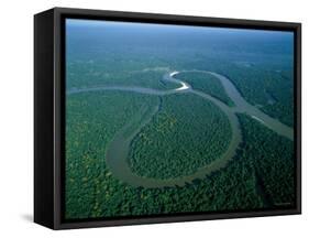 Amazon River, Amazon Jungle, Aerial View, Brazil-Steve Vidler-Framed Stretched Canvas