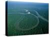 Amazon River, Amazon Jungle, Aerial View, Brazil-Steve Vidler-Stretched Canvas