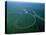 Amazon River, Amazon Jungle, Aerial View, Brazil-Steve Vidler-Stretched Canvas