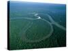 Amazon River, Amazon Jungle, Aerial View, Brazil-Steve Vidler-Stretched Canvas