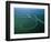 Amazon River, Amazon Jungle, Aerial View, Brazil-Steve Vidler-Framed Photographic Print