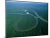 Amazon River, Amazon Jungle, Aerial View, Brazil-Steve Vidler-Mounted Photographic Print