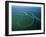 Amazon River, Amazon Jungle, Aerial View, Brazil-Steve Vidler-Framed Photographic Print