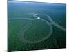 Amazon River, Amazon Jungle, Aerial View, Brazil-Steve Vidler-Mounted Photographic Print