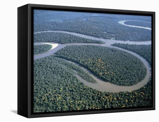 Amazon River, Amazon Jungle, Brazil-null-Framed Stretched Canvas