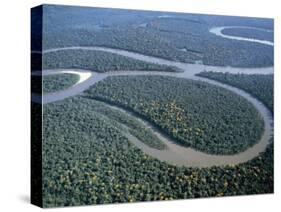 Amazon River, Amazon Jungle, Brazil-null-Stretched Canvas