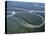 Amazon River, Amazon Jungle, Brazil-null-Stretched Canvas