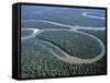 Amazon River, Amazon Jungle, Brazil-null-Framed Stretched Canvas