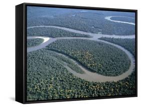 Amazon River, Amazon Jungle, Brazil-null-Framed Stretched Canvas