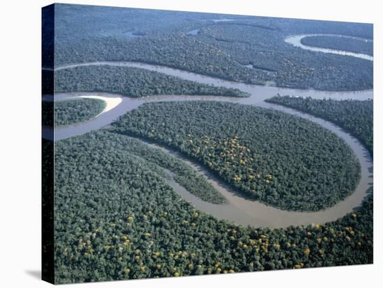 Amazon River, Amazon Jungle, Brazil-null-Stretched Canvas