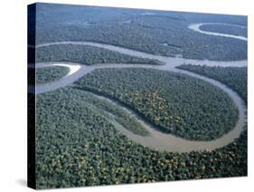 Amazon River, Amazon Jungle, Brazil-null-Stretched Canvas