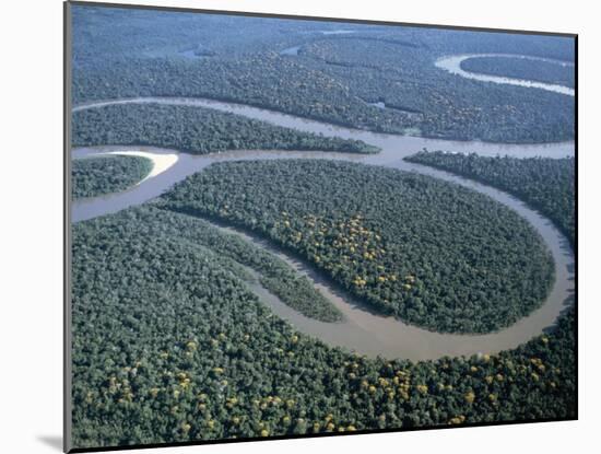 Amazon River, Amazon Jungle, Brazil-null-Mounted Premium Photographic Print