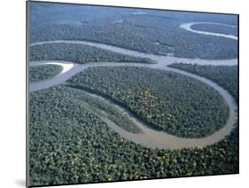 Amazon River, Amazon Jungle, Brazil-null-Mounted Premium Photographic Print