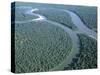 Amazon River, Amazon Jungle, Brazil-null-Stretched Canvas