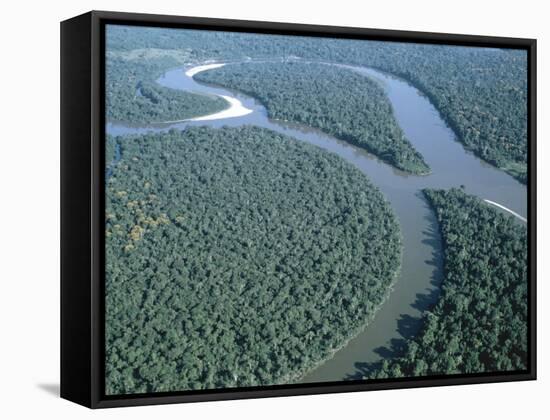 Amazon River, Amazon Jungle, Brazil-null-Framed Stretched Canvas