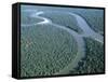 Amazon River, Amazon Jungle, Brazil-null-Framed Stretched Canvas