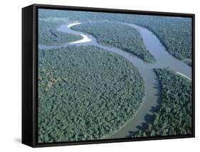 Amazon River, Amazon Jungle, Brazil-null-Framed Stretched Canvas