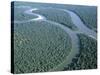 Amazon River, Amazon Jungle, Brazil-null-Stretched Canvas