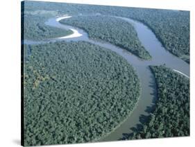 Amazon River, Amazon Jungle, Brazil-null-Stretched Canvas