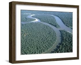 Amazon River, Amazon Jungle, Brazil-null-Framed Premium Photographic Print