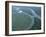 Amazon River, Amazon Jungle, Brazil-null-Framed Premium Photographic Print