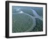 Amazon River, Amazon Jungle, Brazil-null-Framed Premium Photographic Print