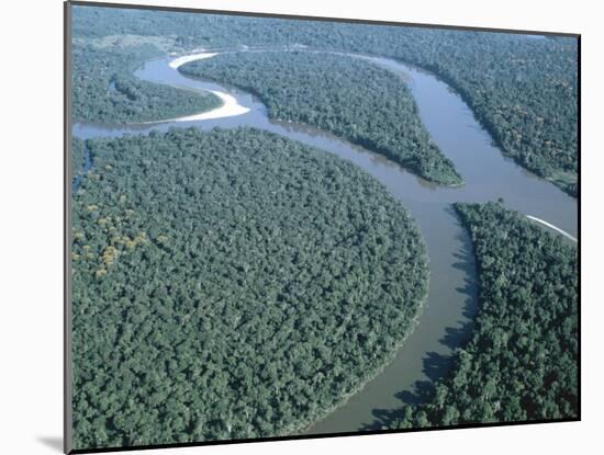 Amazon River, Amazon Jungle, Brazil-null-Mounted Premium Photographic Print
