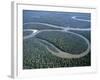 Amazon River, Amazon Jungle, Brazil-null-Framed Photographic Print