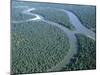 Amazon River, Amazon Jungle, Brazil-null-Mounted Photographic Print