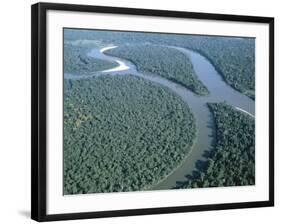 Amazon River, Amazon Jungle, Brazil-null-Framed Photographic Print