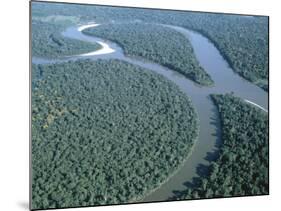 Amazon River, Amazon Jungle, Brazil-null-Mounted Photographic Print