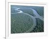 Amazon River, Amazon Jungle, Brazil-null-Framed Photographic Print