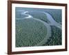 Amazon River, Amazon Jungle, Brazil-null-Framed Photographic Print