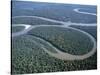 Amazon River, Amazon Jungle, Brazil-null-Stretched Canvas