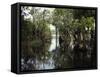 Amazon River, Brazil-null-Framed Stretched Canvas