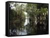 Amazon River, Brazil-null-Framed Stretched Canvas