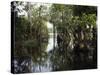 Amazon River, Brazil-null-Stretched Canvas