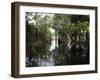 Amazon River, Brazil-null-Framed Photographic Print