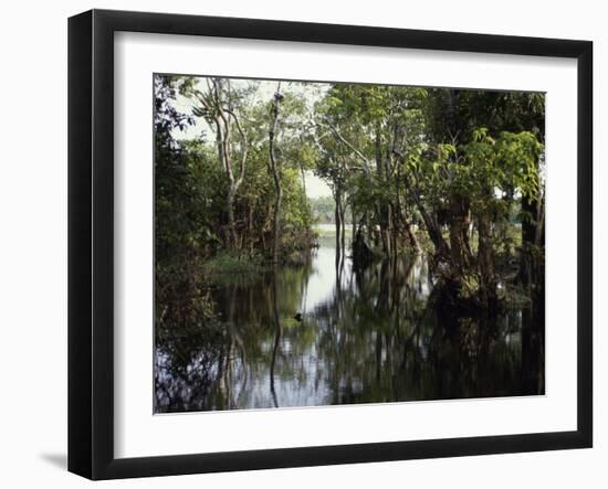 Amazon River, Brazil-null-Framed Photographic Print